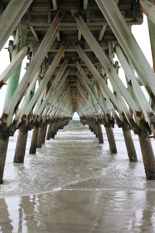 582215_3979017167843_785381873_n